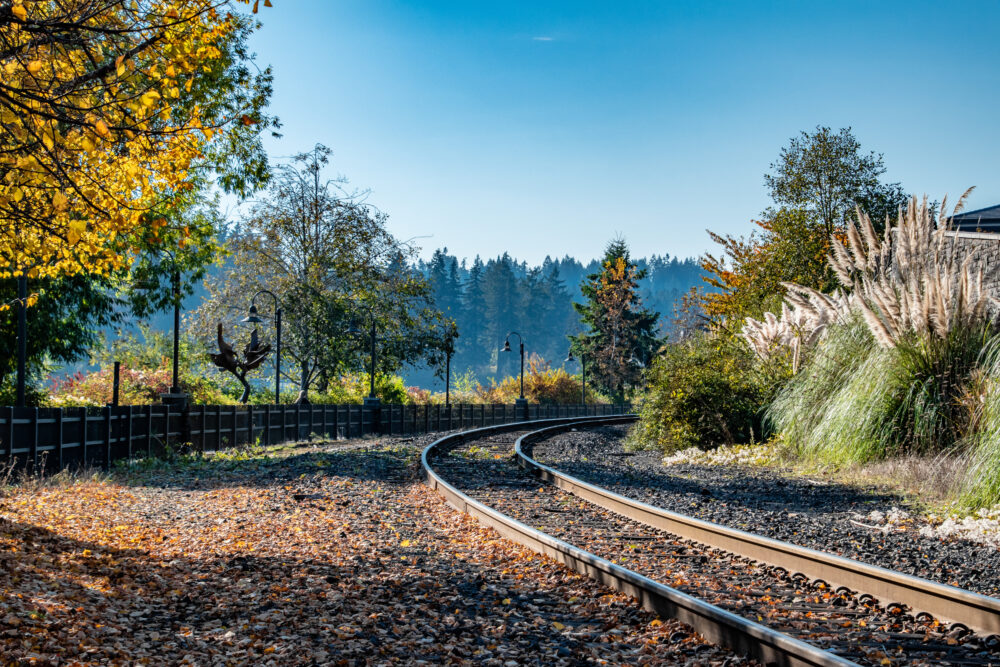 Train Tracks Turning Around Bend Of Lake Oswego With Fall Leaves And Trees