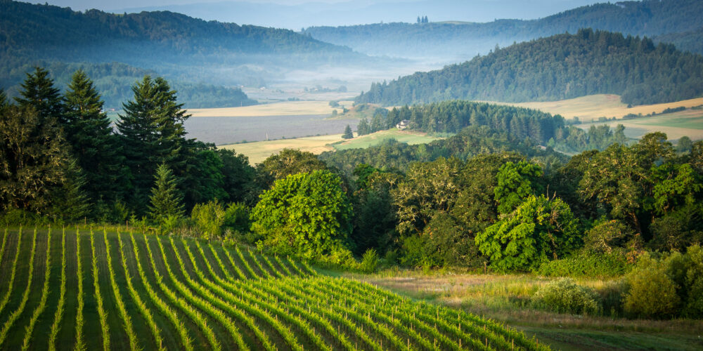 Willamette Vallley, Wine Country