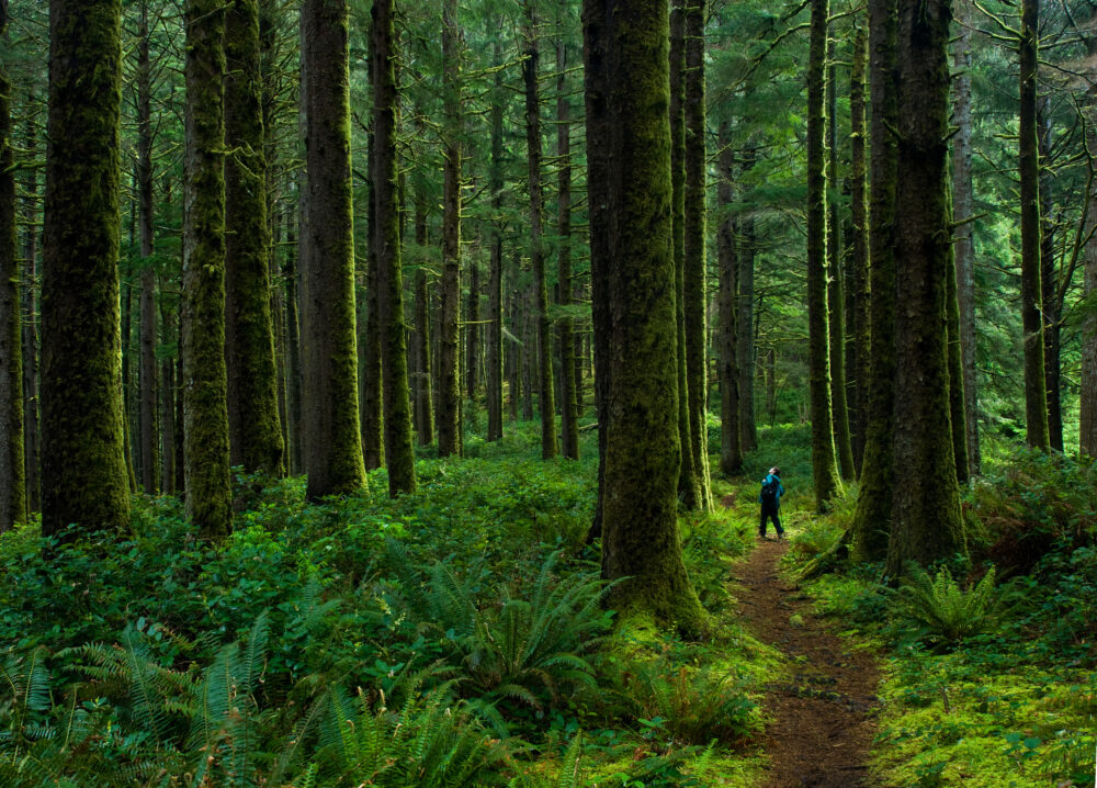 hiking in Oregon